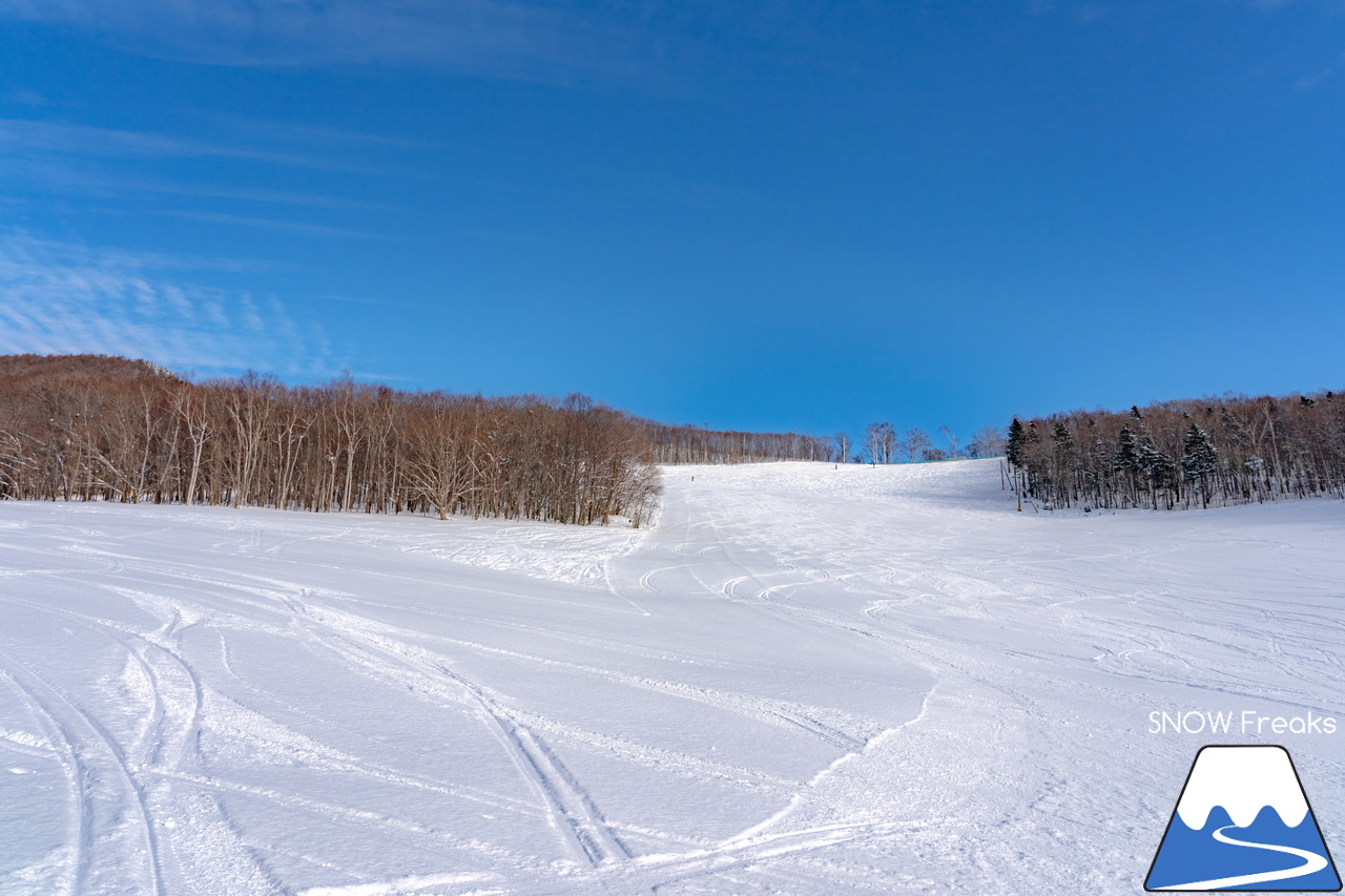 札幌藻岩山スキー場｜ふわっふわの粉雪シーズン到来！思いっきり多彩なコースを楽しみましょう！